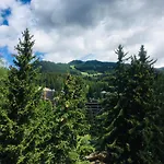 Apartmán Le D'autrefois Crans-Montana